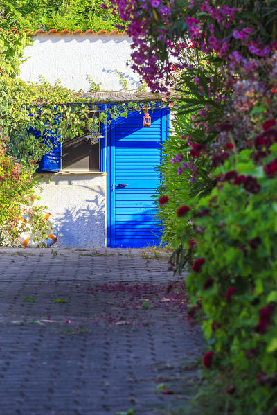 House of San Domino Island, Tremiti Islands, Foggia, Puglia, Italy.