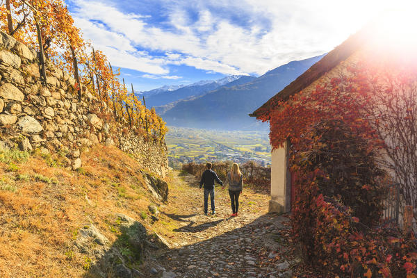 Two people walking on a trail between wineyards and a house cover of american grapes leaves. Poggiridenti, Valtellina, Sondrio province, Lombardy, Italy.