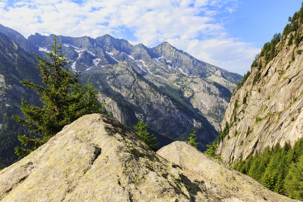 Val di Mello Reserve during summer, Valmasino, Valtellina, Sondrio province, Lombardy, Italy.