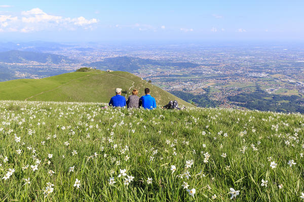 People sitting between daffodils on the top of Monte Linzone. Valico di Valcava(Valcava Pass), Val San Martino,Prealpi Bergamasche, Bergamo province, Lombardy, Italy.