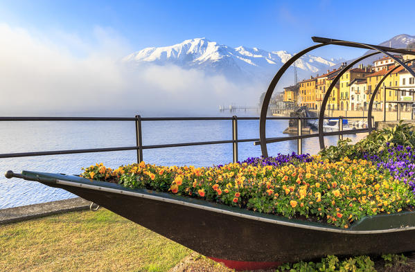 Colored flowers in bloom on a traditional Como Lake boat(Lucia). Domaso, Como Lake, Lombardy, Italy, Europe.