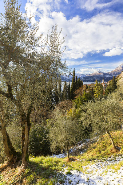 Village of Varenna from olive field, after a snowfall. Como Lake, Lombardy, Italy, Europe.