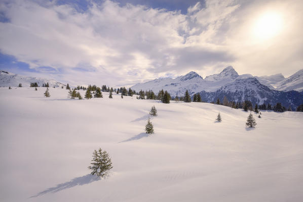 Warm light on the fresh snow at Alp Flix, Sur, Surses, Parc Ela, Region of Albula, Canton of Graubünden, Switzerland, Europe.