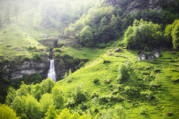 Waterfall of Ri da Sernel and typical houses in spring, Brontallo, Val Lavizzara, Valle Maggia, Canton of Ticino, Switzerland, Europe.