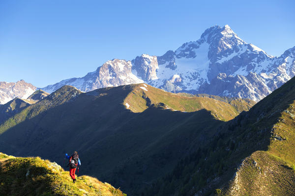 A hiker walks on the ridge of Mount Rolla with the Mount Disgrazia in the background. Valmalenco, Valtellina,Lombardy, Italy, Europe. (MR)