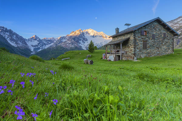 Mountain house at Alpe dell'Oro with Mount Disgrazia in the background. Chiareggio, Valmalenco, Valtellina, Lombardy, Italy, Europe.