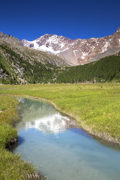 Mount Disgrazia is mirrored in a river. Predarossa valley, Valmasino, Valtellina, Lombardy, Italy, Europe.