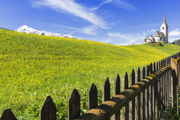 Summer flowering at the traditional church of Davos Wiesen, Parc Ela, Prettigau/Davos, Graubünden, Switzerland, Europe.