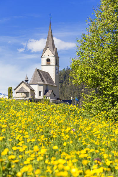 Summer flowering at the traditional church of Davos Wiesen, Parc Ela, Prettigau/Davos, Graubünden, Switzerland, Europe.