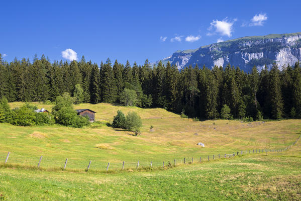 Traditional huts near Rhine Gorge(Ruinaulta), Flims, District of Imboden, Canton of Grisons, Switzerland, Europe