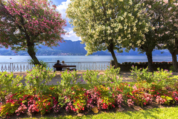 Couple of people sitting on a bench looks the lake. Bellagio, Province of Como,  Como Lake, Lombardy, Italy, Europe.