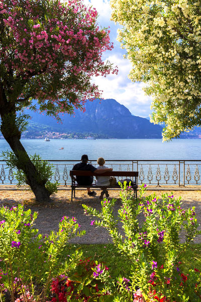 Couple of people sitting on a bench looks the lake. Bellagio, Province of Como,  Como Lake, Lombardy, Italy, Europe.