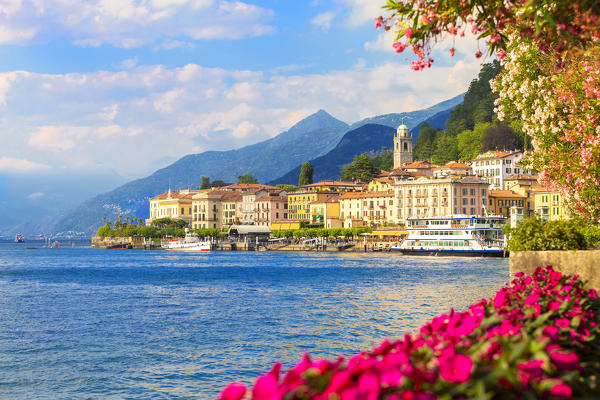 Flowering on the lake side of Bellagio, Province of Como,  Como Lake, Lombardy, Italy, Europe.