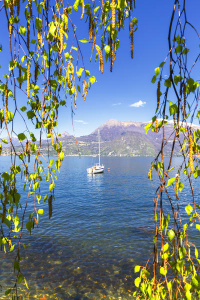 Moored sailboat to Varenna, Province of Lecco,  Como Lake, Lombardy, Italy, Europe.