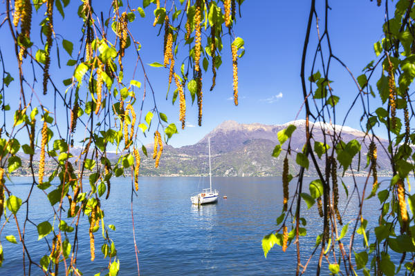 Moored sailboat to Varenna, Province of Lecco,  Como Lake, Lombardy, Italy, Europe.