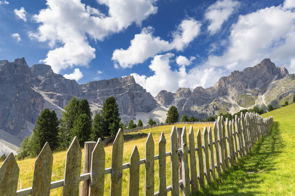 Fence with Puez Group in the background. Longiarù, Badia Valley, South Tyrol, Dolomites, Italy, Europe.