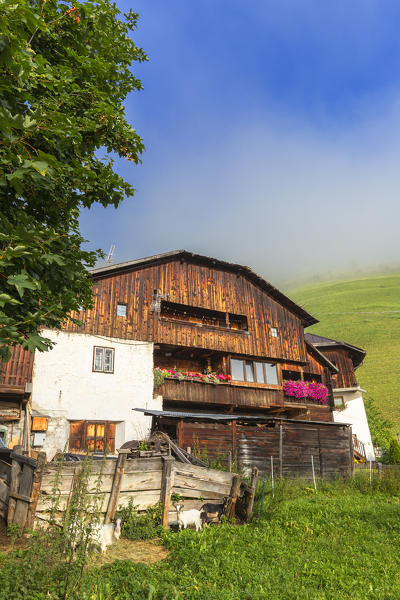 Traditional house and farm of the Dolomites. Longiarù, Badia Valley, South Tyrol, Dolomites, Italy, Europe.