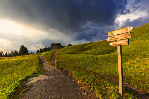 Sunlight illuminates a signal on a path, after rain. La Valle/La Val/Wengen Badia Valley, South Tyrol, Dolomites, Italy, Europe.