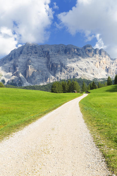 White track with Sasso della Croce in the background. La Valle/La Val/Wengen Badia Valley, South Tyrol, Dolomites, Italy, Europe.