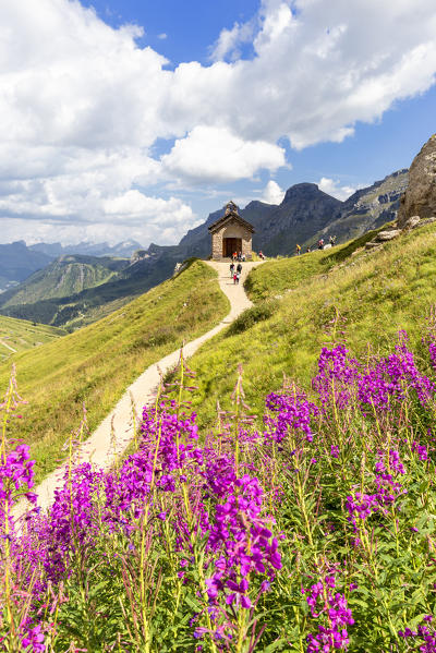 Flowering at Pordoi Pass Chapel. Pordoi Pass, Fassa Valley, Trentino, Dolomites, Italy, Europe.