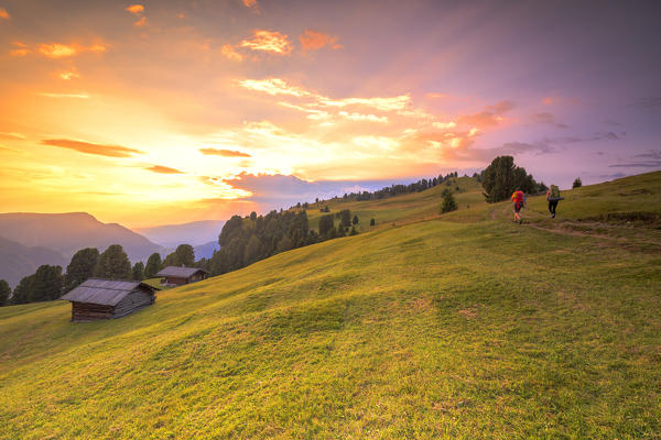 Hikers walks in the pasture during sunset. Gardena Valley, South Tyrol, Dolomites, Italy, Europe.