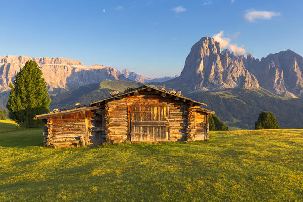 Last rays of sun on traditional hut with view on Sassolungo and Sella Group. Gardena Valley, South Tyrol, Dolomites, Italy, Europe.