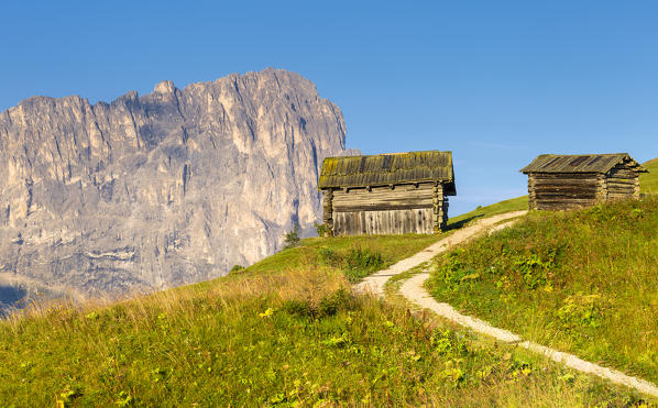 Traditional hut with Sassolungo in the background. Gardena Pass, Gardena Valley, Dolomites, South Tyrol, Italy, Europe.