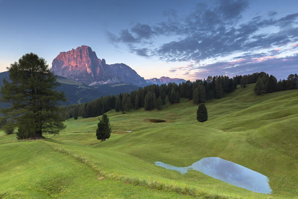 Sunrise on Sassolungo with seasonal pool in the foreground. Daunei, Selva Val Gardena, Gardena Valley, South Tyrol, Dolomites, Italy, Europe.