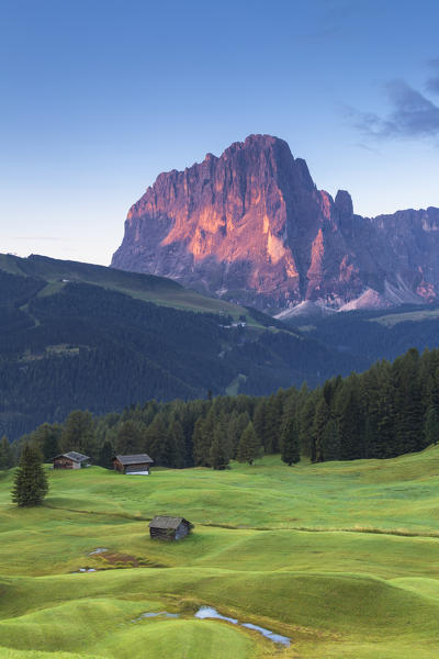 First light on Sassolungo peak with traditional huts in the foreground.  Daunei, Selva Val Gardena, Gardena Valley, South Tyrol, Dolomites, Italy, Europe.