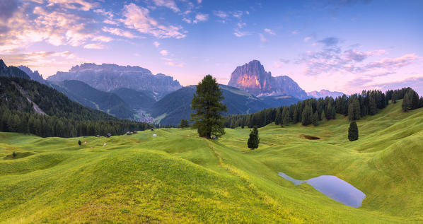 Panoramic view of Daunei pasture after the rain. Daunei, Selva Val Gardena, Gardena Valley, South Tyrol, Dolomites, Italy, Europe.