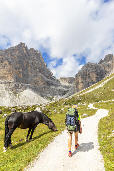 Horse is eating grass and a hiker walks on the path.  Dolomites of Sesto / Sexten, Province of Belluno, Veneto, Italy,  Europe.