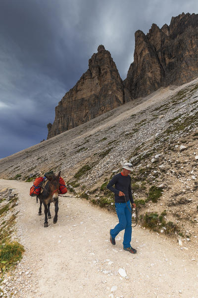 A man with mule walks at the base of Three Peaks of Lavaredo. Dolomites of Sesto / Sexten, Province of Belluno, Veneto, Italy,  Europe.