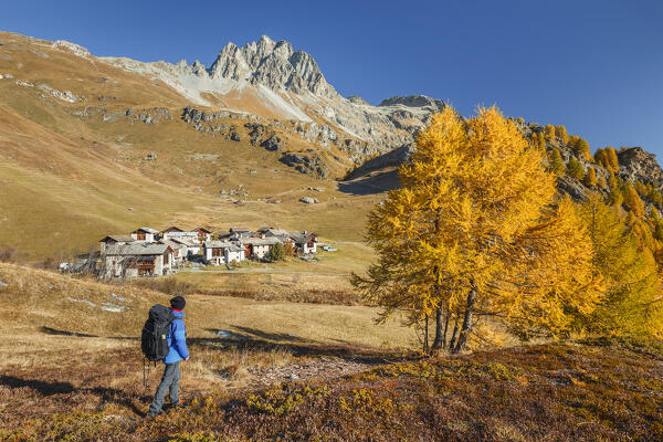 Hiker looks one small village during an autumn walk, Engadine, lake Sils, Canton of Graubunden, Switzerland, Europe (MR)