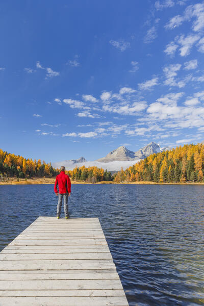 Hiker looks the colors of autumn on Lej da Staz (Lake of Staz). Celerina/Schlarigna, St Moritz, canton of Graubünden, Engadine, Switzerland, Europe (MR)
