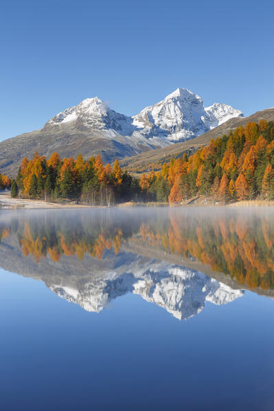 Autumn mirrors on Lej da Staz (Lake of Staz). Celerina/Schlarigna, St Moritz, canton of Graubünden, Engadine, Switzerland, Europe