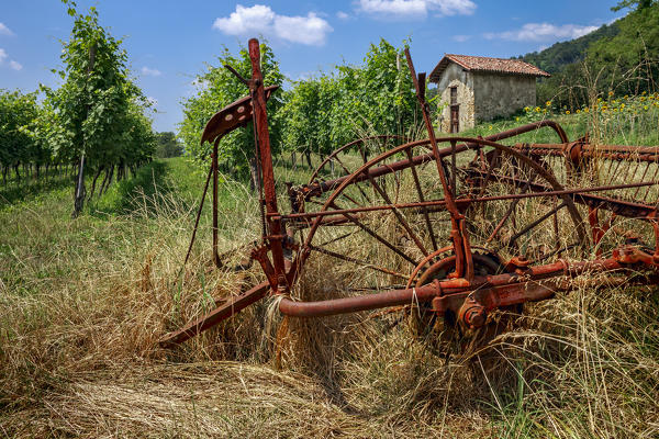 Old plow in the Montevecchia park, Missaglia, Curone valley, Lecco province, Brianza, Lombardy, Italy, Europe