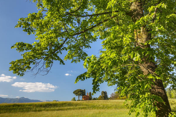 The tree frame Pomelasca's church, Inverigo, Como province, Brianza, Lombardy, Italy, Europe