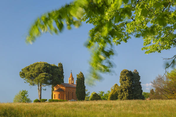 Branches of a tree frame Pomelasca's church, Inverigo, Como province, Brianza, Lombardy, Italy, Europe