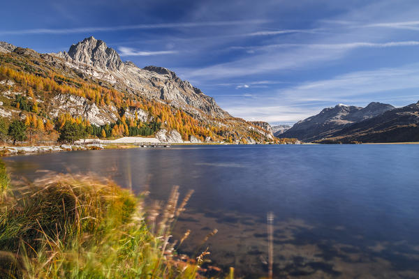 Autumn at Lake Sils, Engadine, Canton of Graubunden, Switzerland, Europe