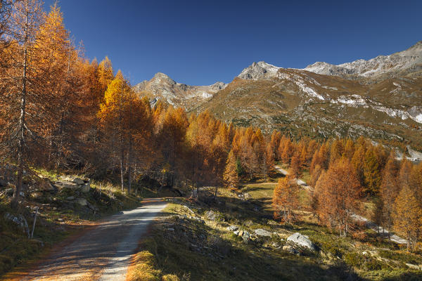Engadine, Canton of Graubunden, Switzerland, Europe