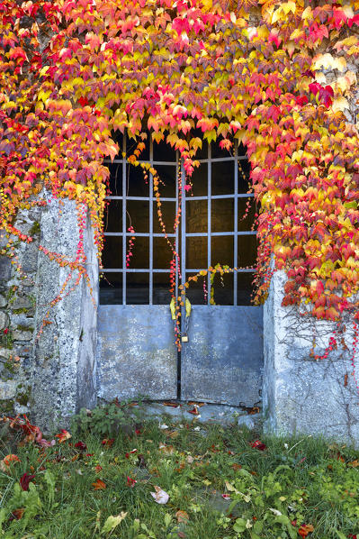 A detail of Compiano castle in Autumn time, Taro valley, Parma province, Emilia Romagna, Italy, Europe