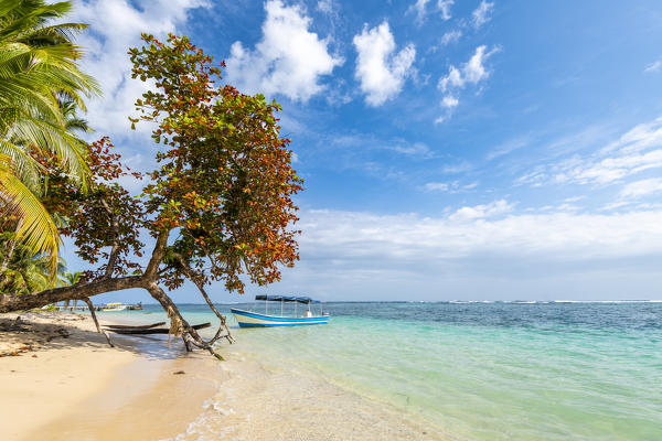 Zapatilla island, Bocas del Toro province, Panama, Central America