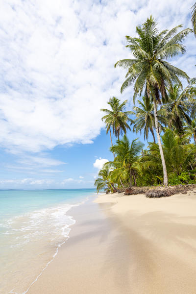 Zapatilla island, Bocas del Toro province, Panama, Central America