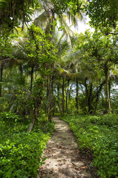 Zapatilla island, Bocas del Toro province, Panama, Central America