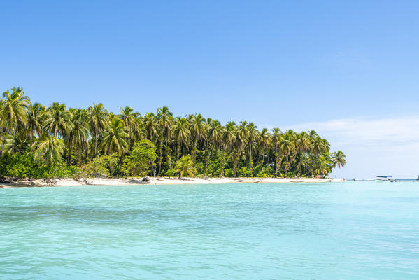 Zapatilla island, Bocas del Toro province, Panama, Central America