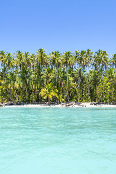 Zapatilla island, Bocas del Toro province, Panama, Central America