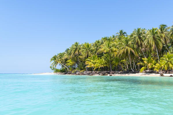 Zapatilla island, Bocas del Toro province, Panama, Central America