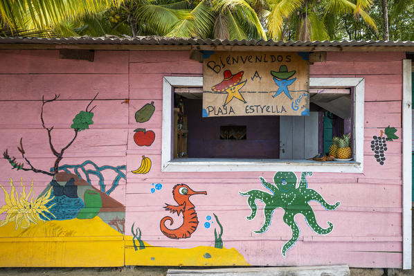 Playa Estrella (Starfish beach), Colon island, Bocas del Toro province, Panama, Central America