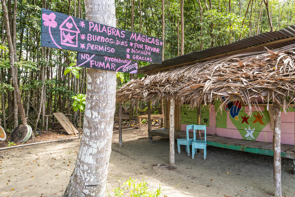 Playa Estrella (Starfish beach), Colon island, Bocas del Toro province, Panama, Central America