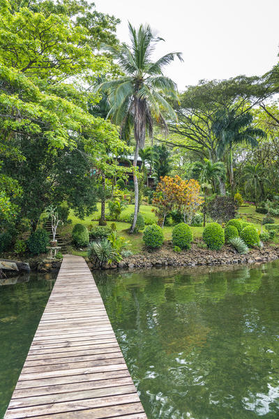 Chocolate farm, Bocas del Toro province, Panama, Central America